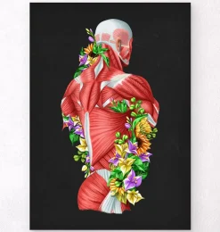 Anatomie der Muskeln - Floral- Schwarz | Codex Anatomicus Sale