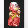 Anatomie der Muskeln - Floral- Schwarz | Codex Anatomicus Hot