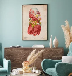 Anatomie der Muskeln - Floral - Vintage | Codex Anatomicus Online