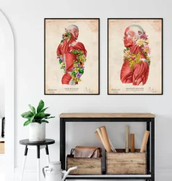 Anatomie der Muskeln - Floral- Vintage | Codex Anatomicus Sale