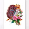Anatomie der Plazenta - Floral - Weiß | Codex Anatomicus Discount