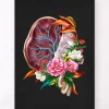 Anatomie der Plazenta - Floral - Schwarz | Codex Anatomicus Hot