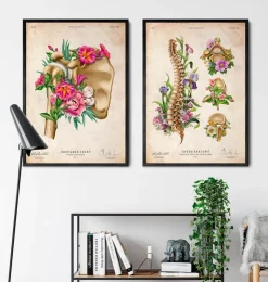 Anatomie der Schulter - Floral - Vintage | Codex Anatomicus Clearance