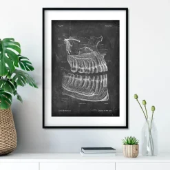Anatomie der Zähne und Kiefer - Chalkboard | Codex Anatomicus Fashion