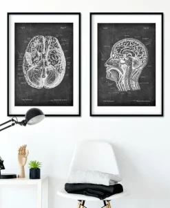 Anatomie des Kopfteils - Chalkboard | Codex Anatomicus New