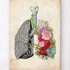 Anatomische Lunge mit Blumen - Altes Papier | Codex Anatomicus Fashion