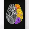 Anatomisches Gehirn mit Blumen | Codex Anatomicus Fashion