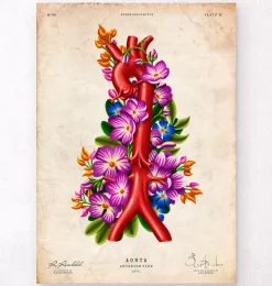 Aorta - Floral - Vintage | Codex Anatomicus Discount