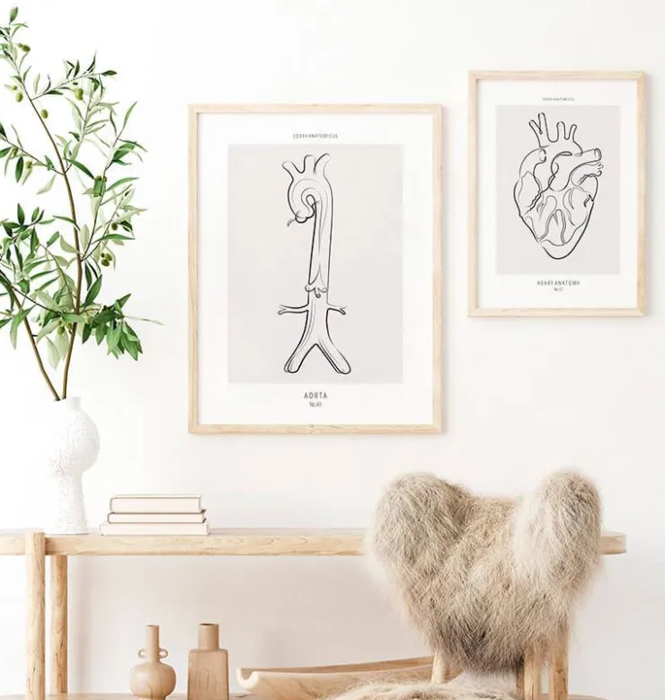 Aorta Anatomie - Line-Art | Codex Anatomicus Hot