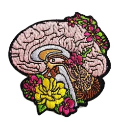 Aufbügler Gehirn, 65mm | Codex Anatomicus Clearance