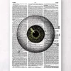 Augen Anatomie - Wörterbuch | Codex Anatomicus Discount