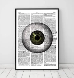 Augen Anatomie - Wörterbuch | Codex Anatomicus Discount