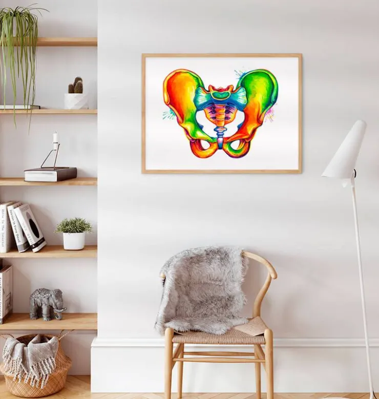 Becken Anatomie - Aquarell | Codex Anatomicus Fashion