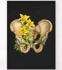 Becken Anatomie - Floral - Schwarz | Codex Anatomicus Online