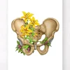 Becken Anatomie - Floral - Weiß | Codex Anatomicus Fashion