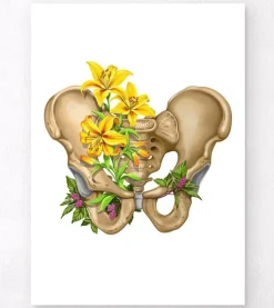 Becken Anatomie - Floral - Weiß | Codex Anatomicus Fashion