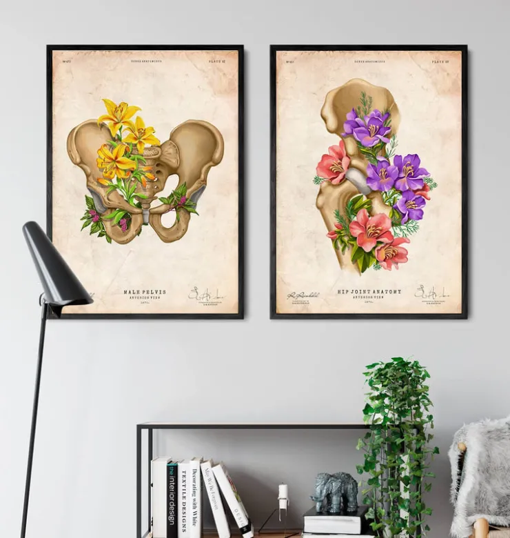 Becken Anatomie - Floral - Vintage | Codex Anatomicus New