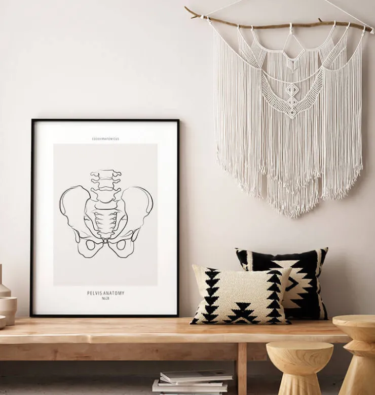 Becken Anatomie - Line-Art | Codex Anatomicus Clearance
