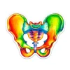 Becken Anatomie Aufkleber - Aquarell | Codex Anatomicus Discount