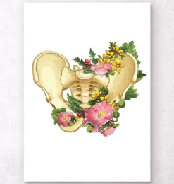 Beckenanatomie - Floral - Weiß | Codex Anatomicus New