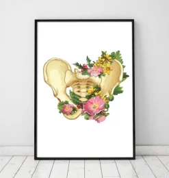 Beckenanatomie - Floral - Weiß | Codex Anatomicus New