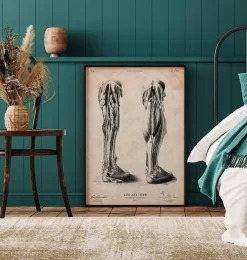 Bein Anatomie | Codex Anatomicus Sale