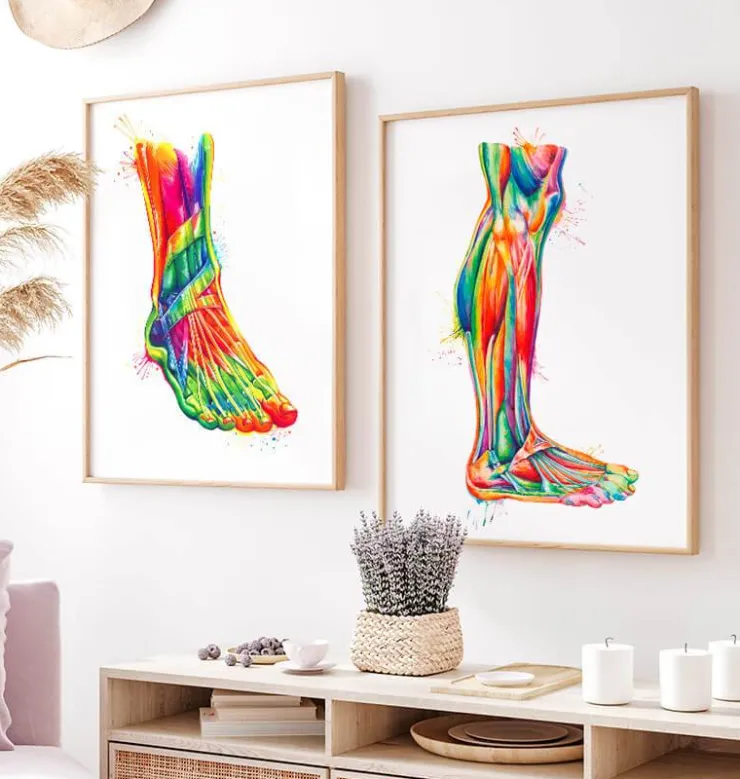 Bein Anatomie - Aquarell | Codex Anatomicus Sale