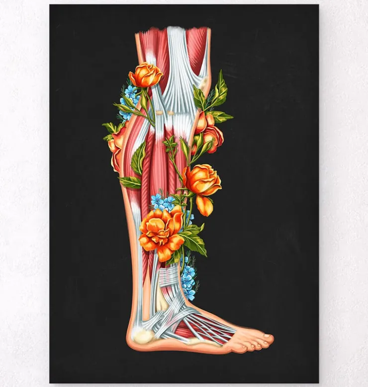 Bein Anatomie - Floral - Schwarz | Codex Anatomicus Hot