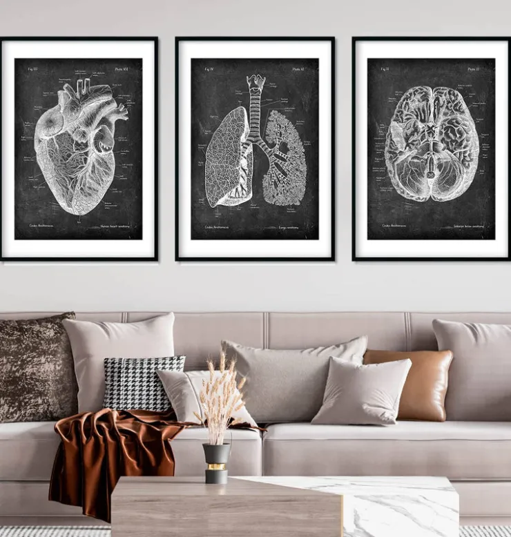 Bestseller 3er Set - Chalkboard | Codex Anatomicus Discount
