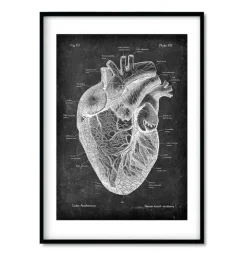 Bestseller 3er Set - Chalkboard | Codex Anatomicus Discount