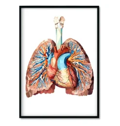 Bestseller 3er Set - Geometrische | Codex Anatomicus Outlet