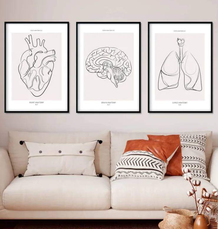 Bestsellers 3er Set - Line Art | Codex Anatomicus Sale