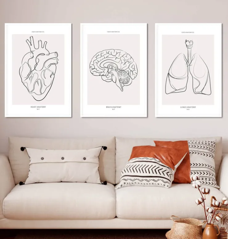Bestsellers 3er Set - Line Art | Codex Anatomicus Sale
