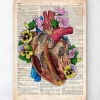 Blumenherz II - Altes Wörterbuch | Codex Anatomicus Clearance