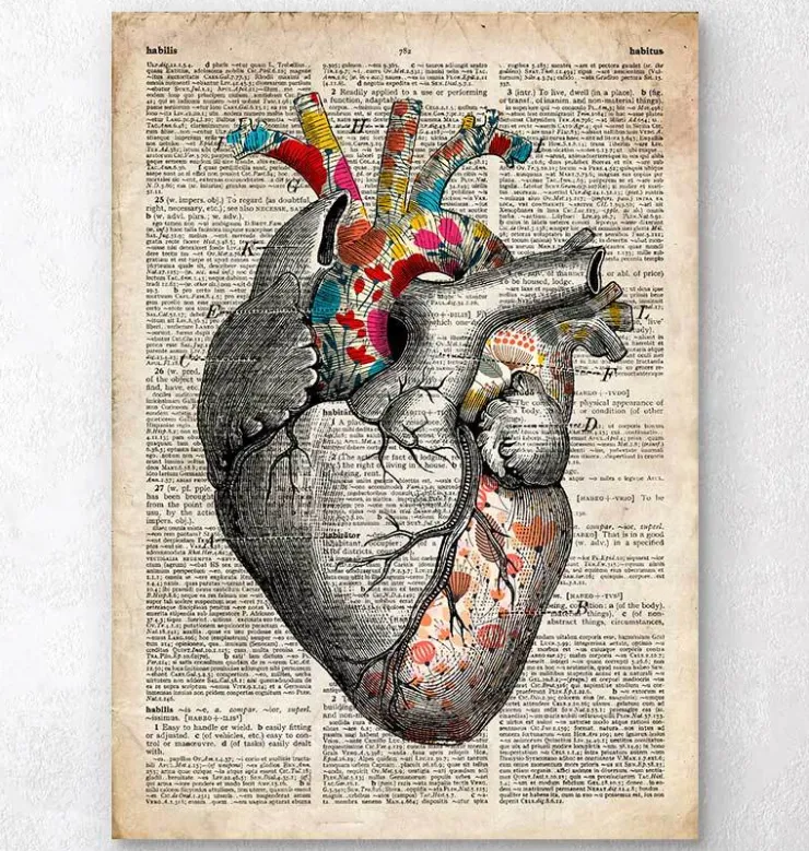 Blumenherzkunst - Altes Wörterbuch | Codex Anatomicus Online