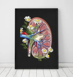 Blumennierenanatomie - Schwarz | Codex Anatomicus Hot
