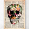 Blumenschädel - Altes Wörterbuch | Codex Anatomicus Best