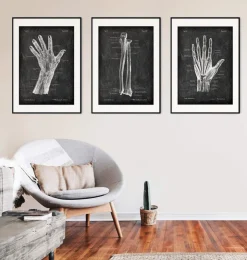 Blutgefäße der Hand - Chalkboard | Codex Anatomicus Outlet