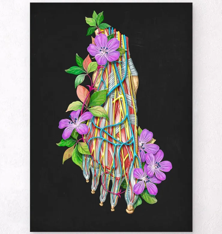 Blutgefäße des Fußes - Floral - Schwarz | Codex Anatomicus Hot
