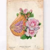 Brust Anatomie - Floral - Altes Papier | Codex Anatomicus Hot