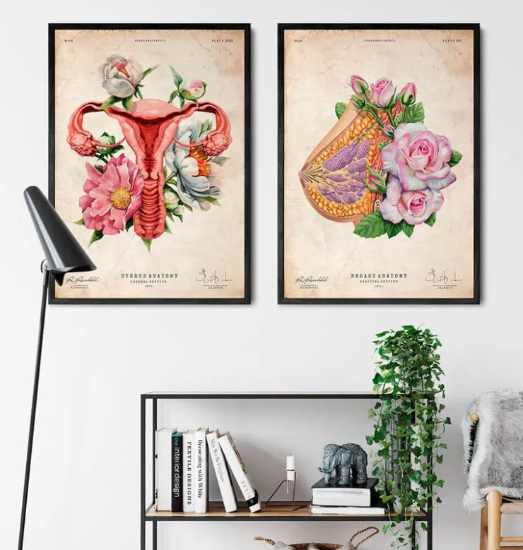 Brust Anatomie - Floral - Altes Papier | Codex Anatomicus Hot