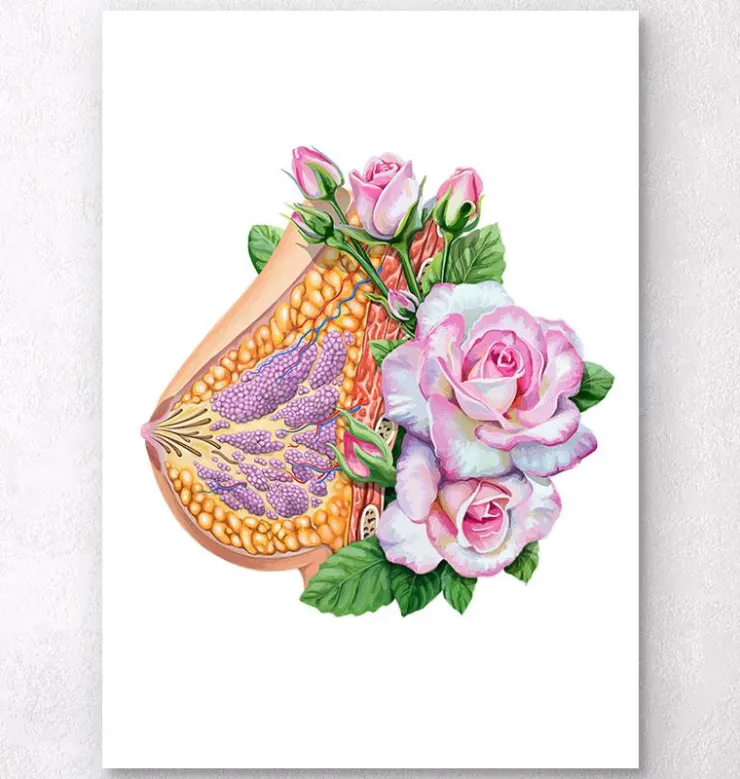 Brust Anatomie - Floral - Weiß | Codex Anatomicus Clearance