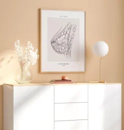 Brust Anatomie - Line-Art | Codex Anatomicus Online