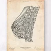 Brustanatomie I | Codex Anatomicus Online