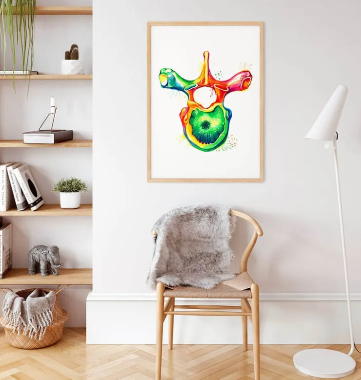 Brustwirbel Anatomie - Aquarell | Codex Anatomicus Best
