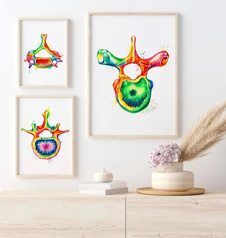 Brustwirbel Anatomie - Aquarell | Codex Anatomicus Best