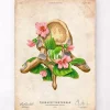 Brustwirbel Anatomie - Floral - Vintage | Codex Anatomicus Outlet