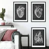Chalkboard Herz Anatomie - 3er Set | Codex Anatomicus Online