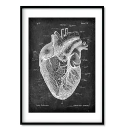 Chalkboard Herz Anatomie - 3er Set | Codex Anatomicus Online