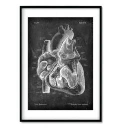 Chalkboard Herz Anatomie - 3er Set | Codex Anatomicus Online
